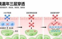 96%用户28天见证皮肤紧致提升？科学抗衰