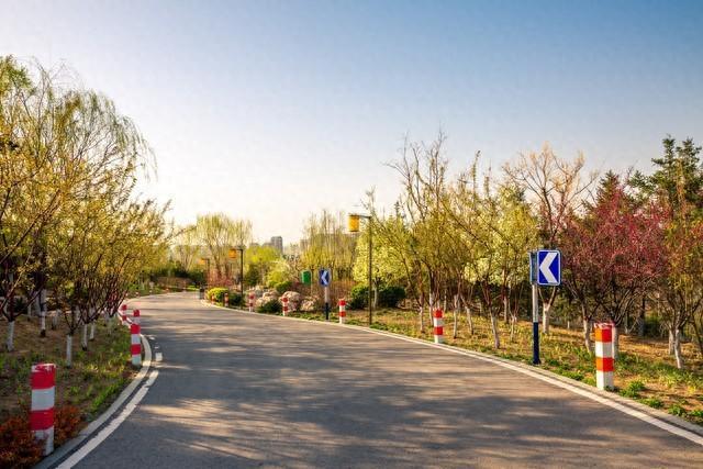 超越四大发明 全民扫盲才是中华民族对人类最伟大的文明贡献