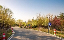 超越四大发明 全民扫盲才是中华民族对人类最伟大的文明贡献