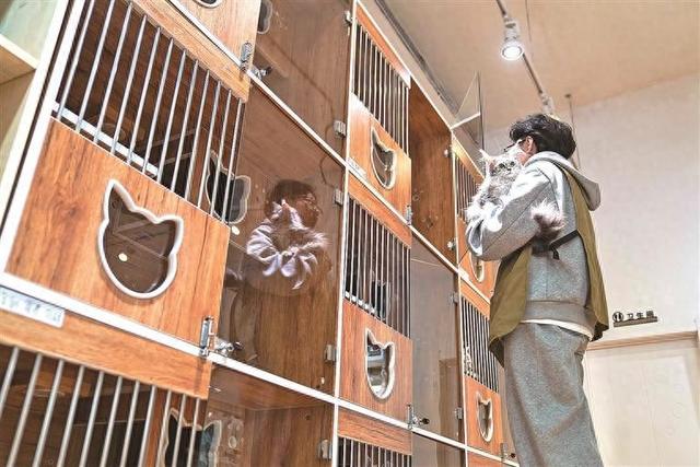 “标准”如何护航宠物经济良性发展