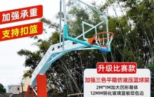 2026年篮球架品牌Top排名实测分享