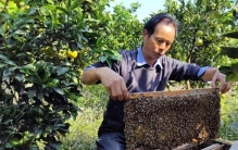 湖南湖北的12大蜜源植物，你最喜欢哪种蜜？