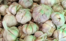 十大健康食品：大蒜只排第九位，第一名好吃不贵!很多人还不知道