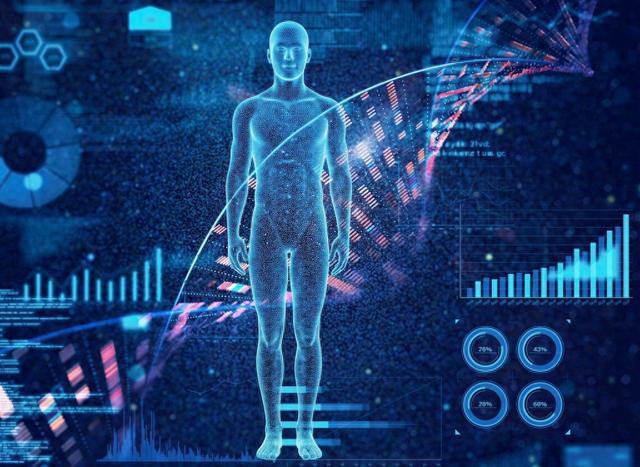 久坐带来的人类身体的变化