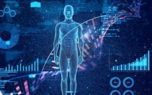 久坐带来的人类身体的变化