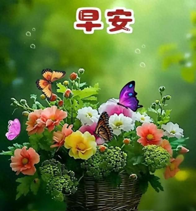 品味人生几十年有苦有累也有甜看淡一切身外物唯有健康最值钱早安