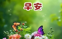 品味人生几十年有苦有累也有甜看淡一切身外物唯有健康最值钱早安