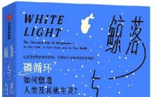 《鲸落与白光》：没有磷，人类不能成为自然界最强大的“那一个”