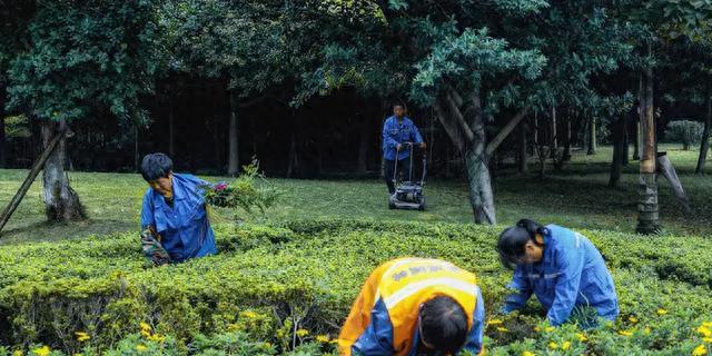 花草不进无福之家，家里花草旺不旺，一眼就能看出你家有没有福气
