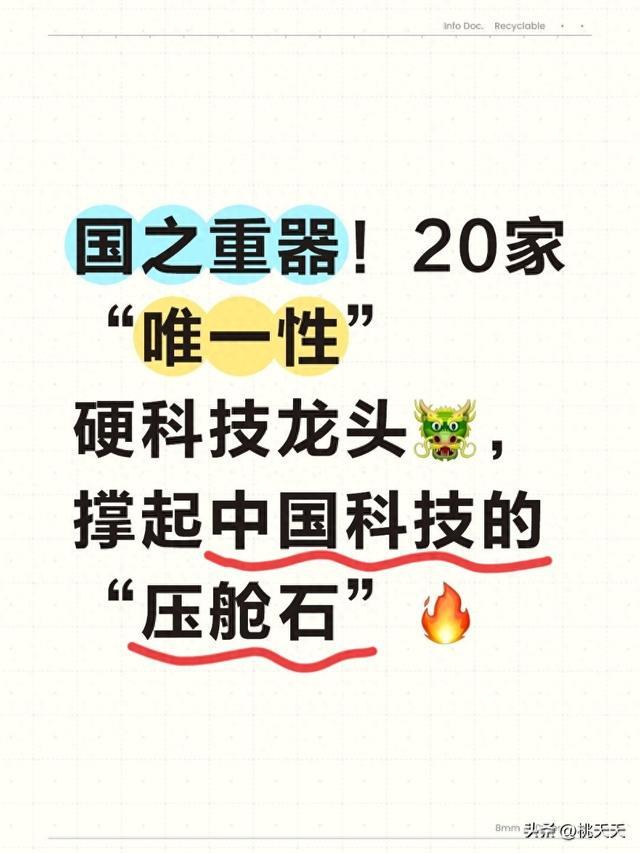 国之重器！20家“唯一性”硬科技龙头，撑起中国科技的“压舱石”