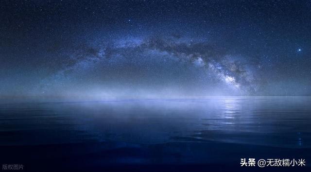 世界上最长寿的5种生物TOP5，排名第一，理论上可以“永生”