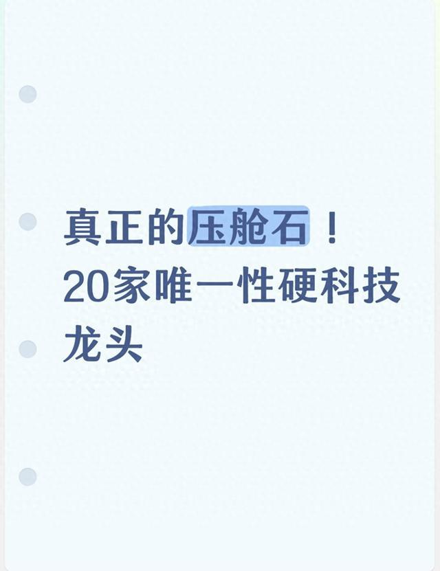真正的压舱石！20家唯一性硬科技龙头