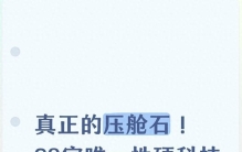 真正的压舱石！20家唯一性硬科技龙头