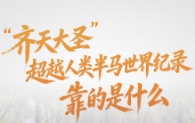 “齐天大圣”超越人类半马世界纪录，靠的是什么