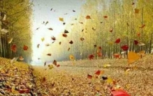 狗仔再爆娱乐圈大瓜！J女星隐秘内幕，看完直呼太离谱