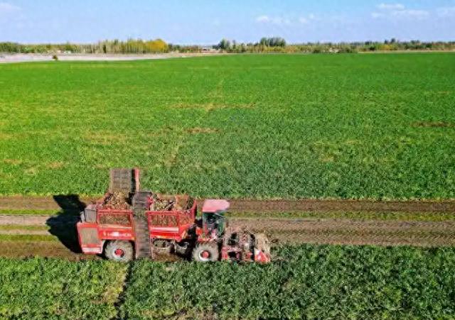 绳之万象从生存依托到文明脉络的千年进化