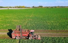 绳之万象从生存依托到文明脉络的千年进化