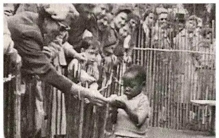 别被浪漫骗了！1905年巴黎人类动物园，是白人至上最赤裸的暴行