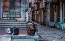 所谓“人吃人”，是世界最真实的生存法则