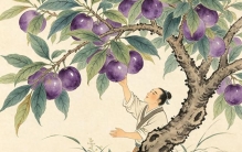 盘点《山海经》里的神奇植物，原来它们就藏在你身边！