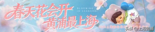 7岁就喜欢“躺平”！这株南非珍稀植物火了，还有2米多高上海最大巨蜜花，绝对让你大开眼界！