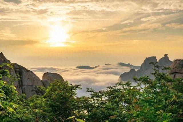 盘点青岛之最！一组权威数据，带你看懂这座滨海名城的硬核实力