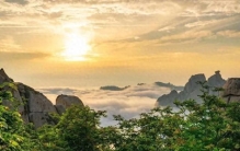 盘点青岛之最！一组权威数据，带你看懂这座滨海名城的硬核实力