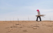 为沙漠钉“楔子”——千里河西治沙行