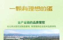 2026十大好吃的零食推荐榜单：从全产业链到市场覆盖的全面评估