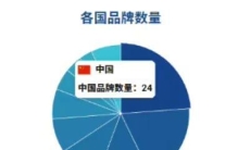 全球汽车价值百强，24 家中国品牌霸榜！