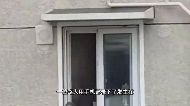 两个奇怪的不明生物，正在以极快的速度，攀爬在垂直90度的外墙