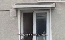 两个奇怪的不明生物，正在以极快的速度，攀爬在垂直90度的外墙