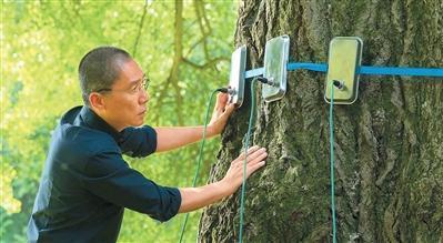 梁朝伟谈出演《寂静的朋友》：与导演同频 与孤独共生