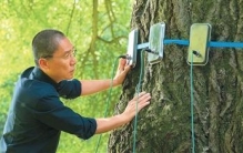 梁朝伟谈出演《寂静的朋友》：与导演同频 与孤独共生