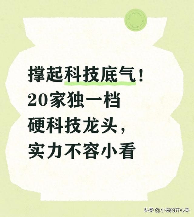 撑起科技底气！20家独一档硬科技龙头，实力不容小看