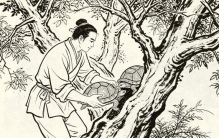 民间奇闻:15年灵龟困树不死，三桩民间旧事，道尽天地禁忌宿命！