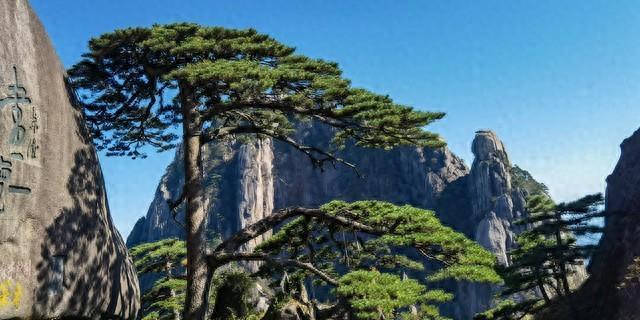 国内最美8大山水排名，张家界、九寨沟上榜，第一名实至名归！