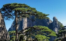 国内最美8大山水排名，张家界、九寨沟上榜，第一名实至名归！