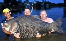 搏斗80分钟钓起世界最大鲤鱼，三壮汉一起才举出水面