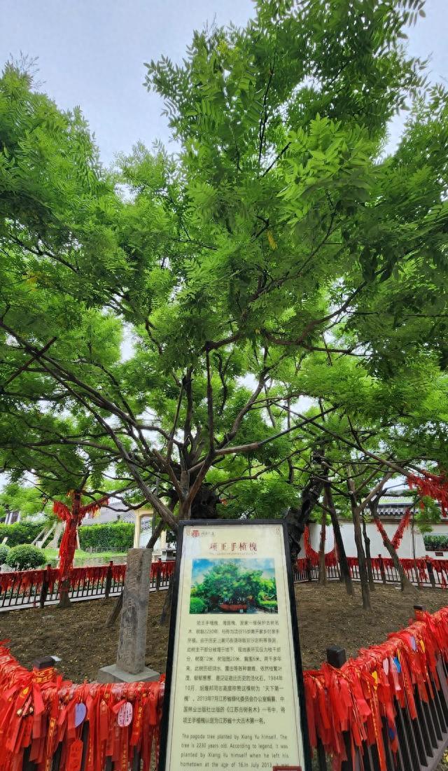 江苏宿迁“骗”了太多人！低调小城，竟藏着10个中国之最