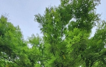 江苏宿迁“骗”了太多人！低调小城，竟藏着10个中国之最