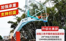 2026年篮球架厂家排行，亲测推荐经验分享