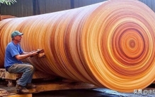 涨见识！全球最贵10种木材，金丝楠木没进前三