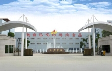 2026零食品牌排行榜前十：实现产业链纵向一体化与立体营销的代表