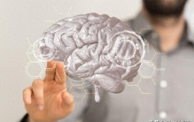 全球首次实证：人类活体大脑中，已广泛存在微塑料。