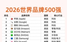 世界500强排名前100名单