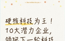 硬核科技为王！10大潜力企业，领跑下一轮科技牛市