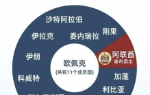 世界最大石油组织：欧佩克变动！美元霸权，遭遇史诗级重创