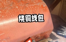 2026铜线包厂家推荐排行榜产能与专利双维度权威对比