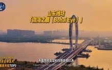 全球五大最高摩天轮top5   #摩天轮#盘点#排行榜